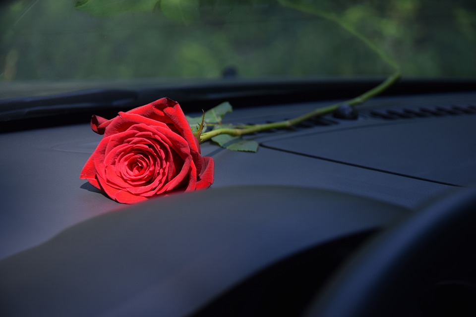 Red Rose車のダッシュボード, 太陽光線, 自然光, 愛, ロマンチック, ロマンス, 感, 感情